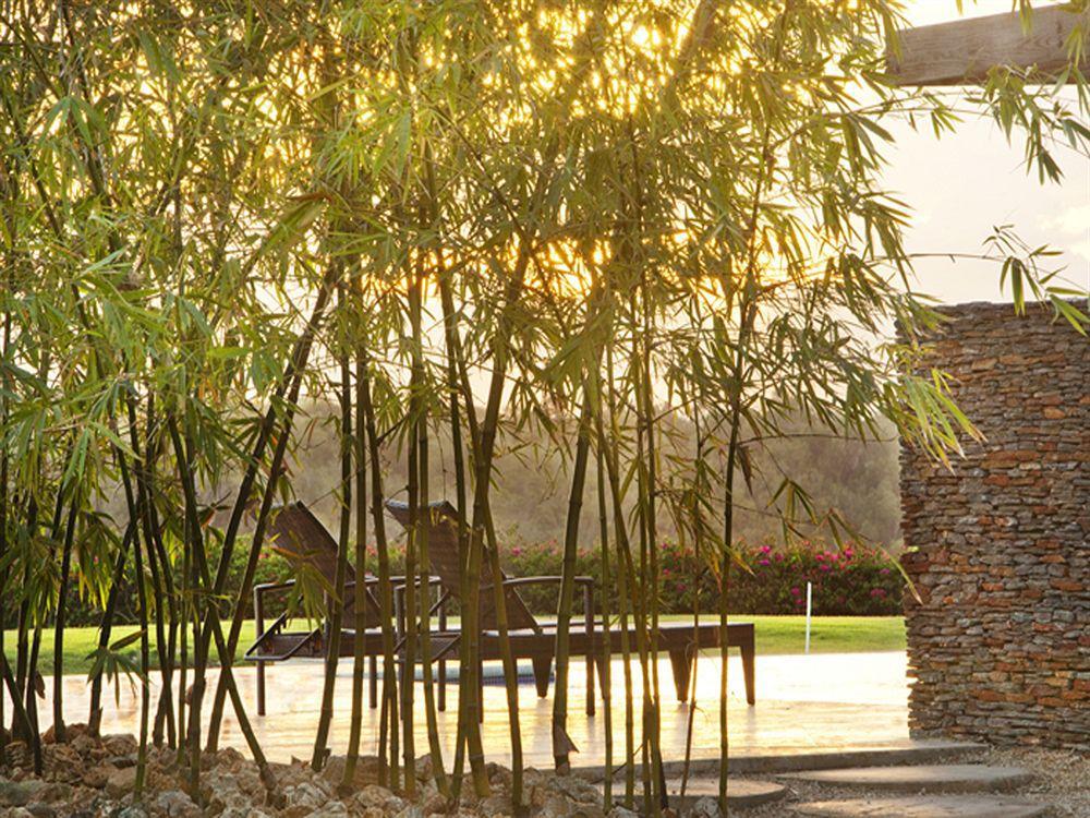 Los Altos Residences By Mint ラ・ロマーナ エクステリア 写真